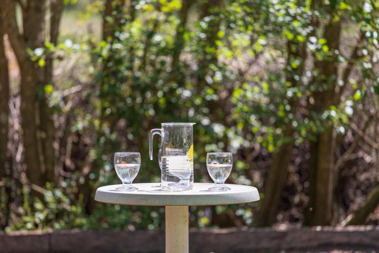 Pontevès La Pampa En Provence - Les Suites Privatives المظهر الخارجي الصورة